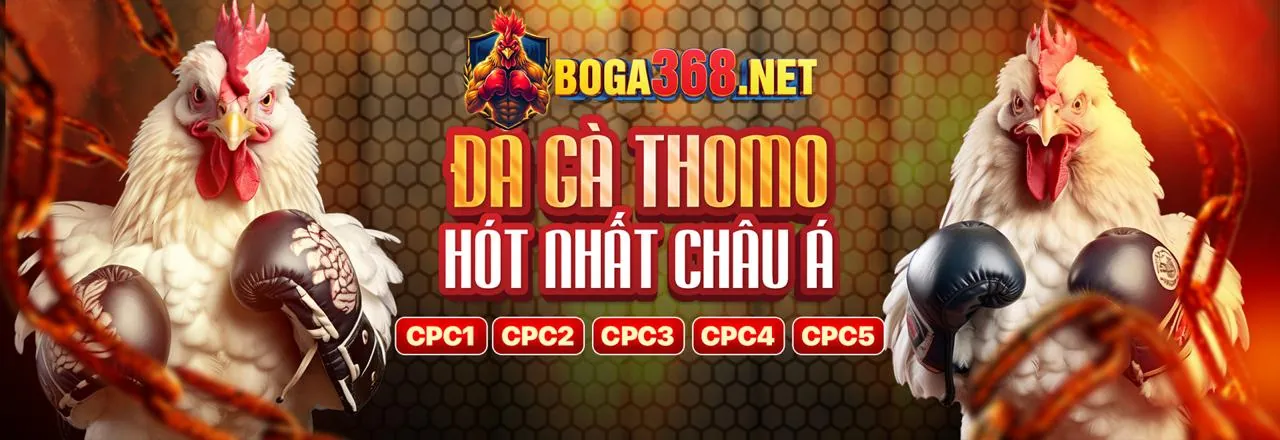 Các trò chơi cá cược nổi bật tại Q88