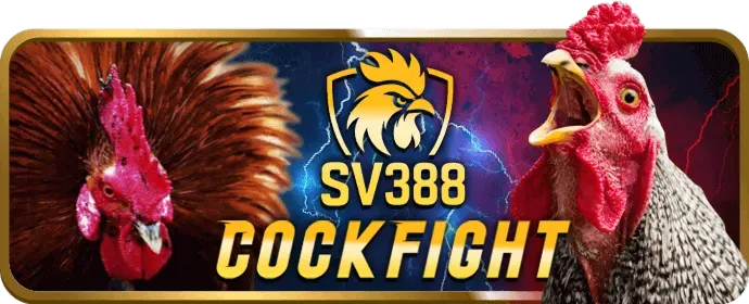 Uy tín và An toàn hàng đầu Q88